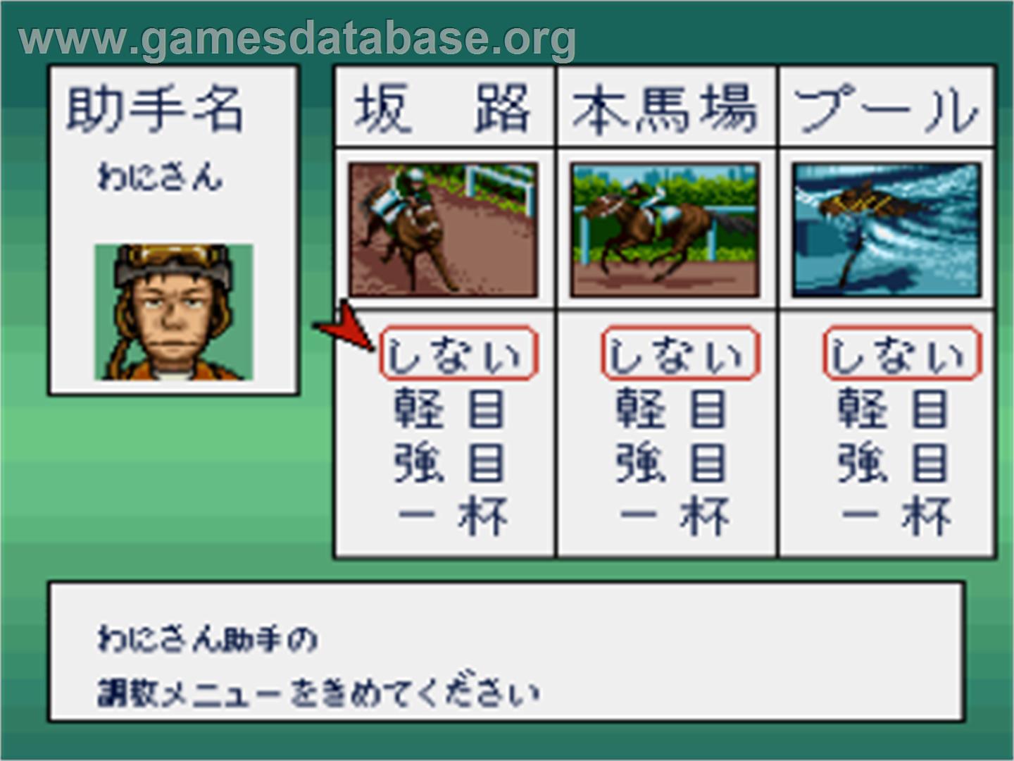 Thoroughbred Breeder 2 - Nintendo SNES - Artwork - In Game