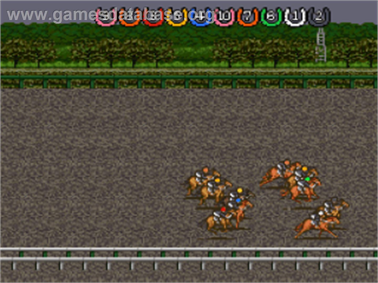Thoroughbred Breeder 3 - Nintendo SNES - Artwork - In Game