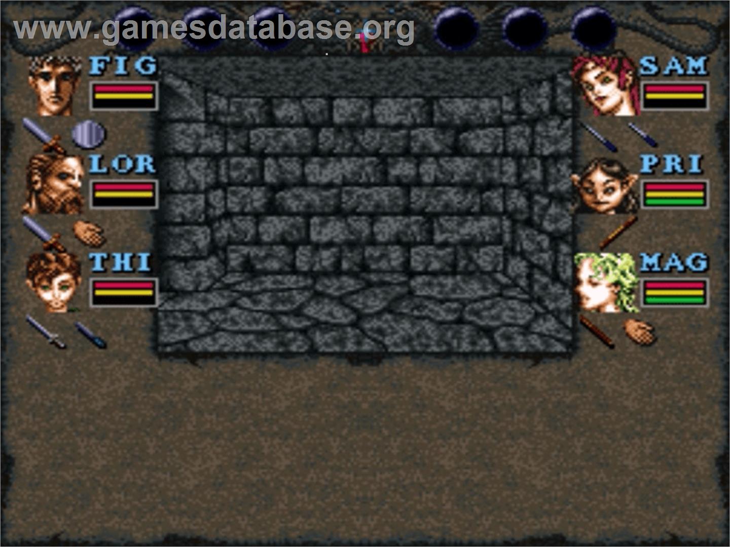 Wizardry VI: Bane of the Cosmic Forge - Nintendo SNES - Artwork - In Game