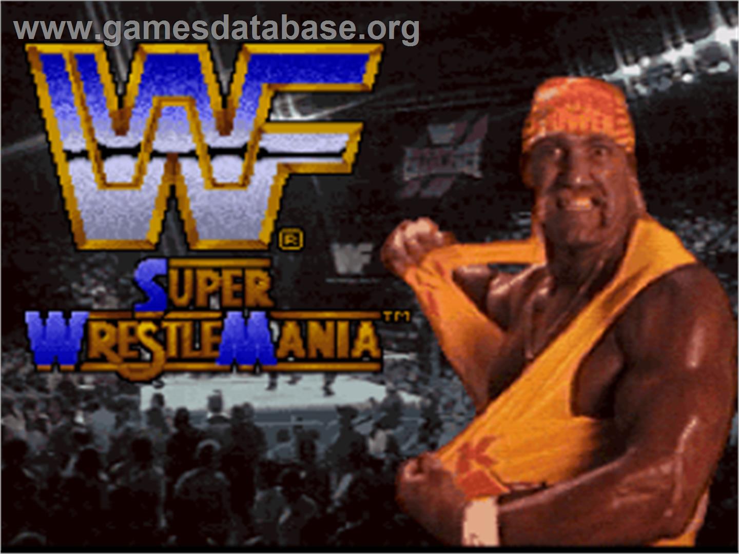 WWF Super Wrestlemania - Nintendo SNES - Artwork - Title Screen