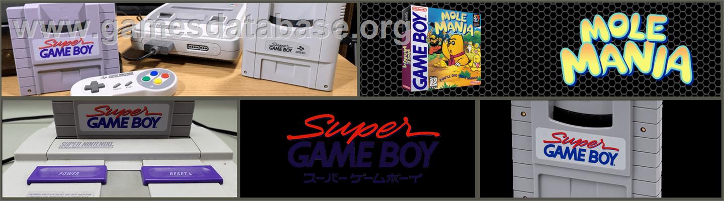 Mole Mania - Nintendo Super Gameboy - Artwork - Marquee