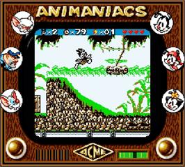 In game image of Animaniacs on the Nintendo Super Gameboy.