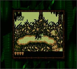 In game image of Donkey Kong Land on the Nintendo Super Gameboy.