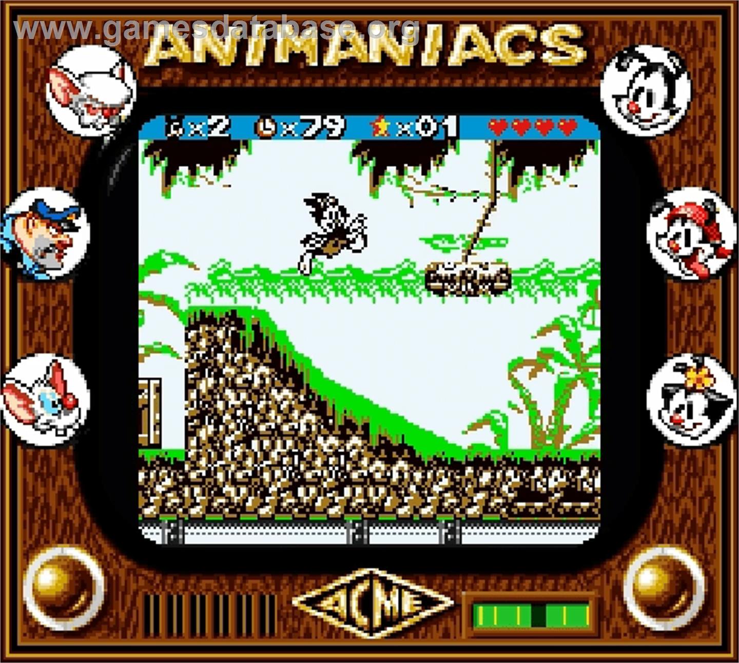 Animaniacs - Nintendo Super Gameboy - Artwork - In Game