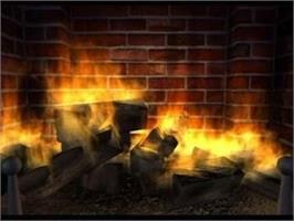 In game image of Cozy Fire on the Nintendo Wii.