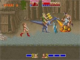 In game image of Golden Axe (Arcade) on the Nintendo Wii.