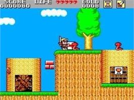 In game image of Wonder Boy in Monster Land (SMS) on the Nintendo Wii.