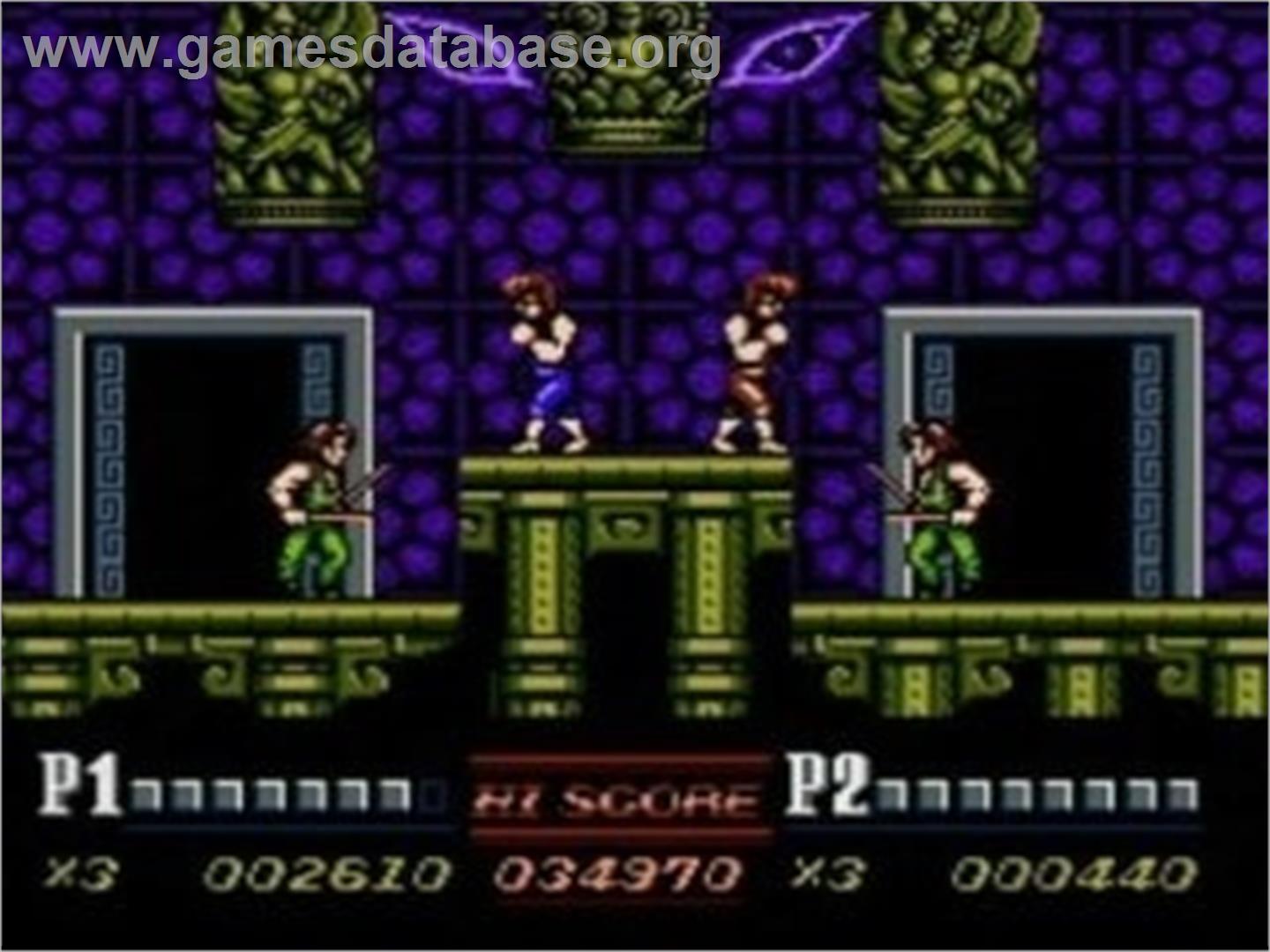 Double Dragon 2 - The Revenge (NES) - Nintendo Wii - Artwork - In Game