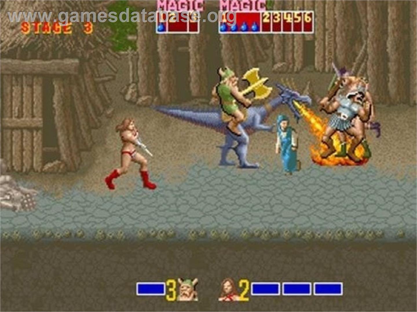 Golden Axe (Arcade) - Nintendo Wii - Artwork - In Game