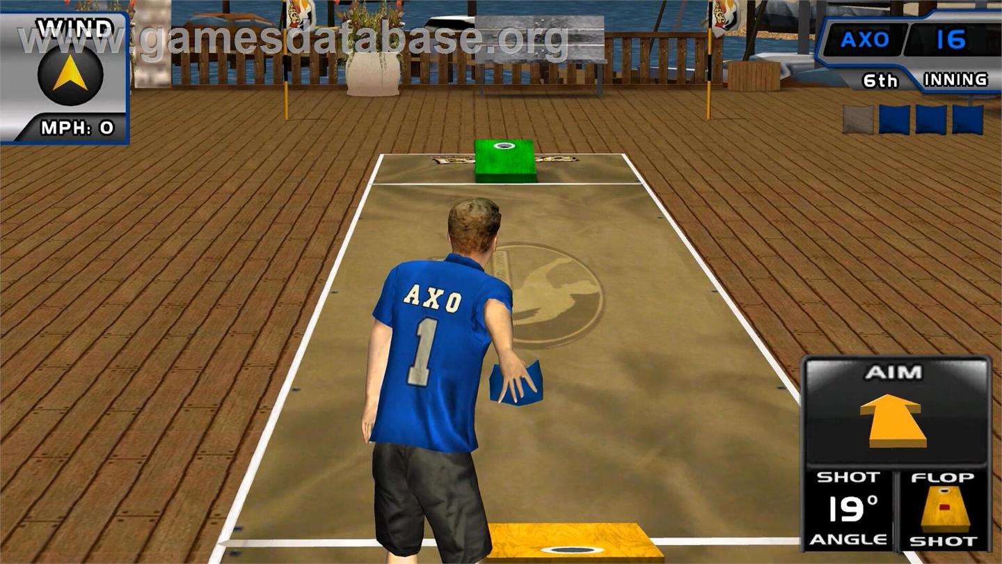 Target Toss Pro : Bags - Nintendo Wii - Artwork - In Game