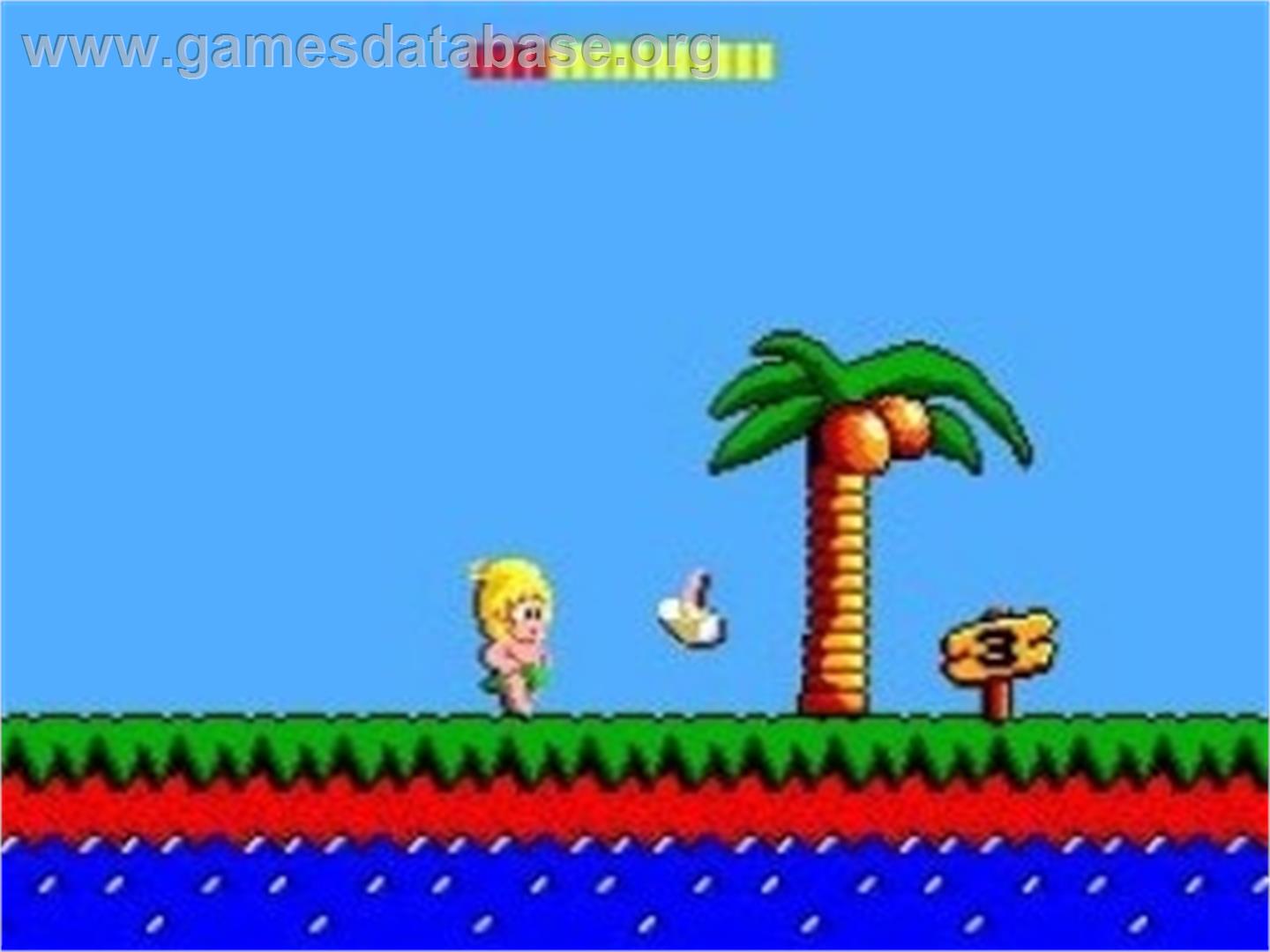 Wonder Boy (SMS) - Nintendo Wii - Artwork - In Game