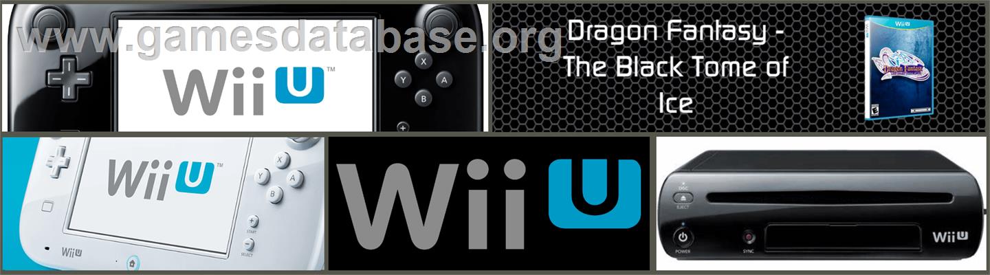 Dragon Fantasy - The Black Tome of Ice - Nintendo Wii U - Artwork - Marquee