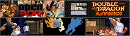 Arcade Cabinet Marquee for Double Dragon Advance.