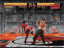 In game image of Way Of The Warrior on the Panasonic 3DO.