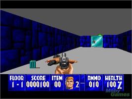 In game image of Wolfenstein 3D on the Panasonic 3DO.