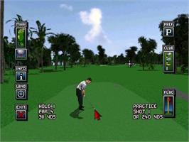 In game image of World Cup Golf - Hyatt Dorado Beach on the Panasonic 3DO.