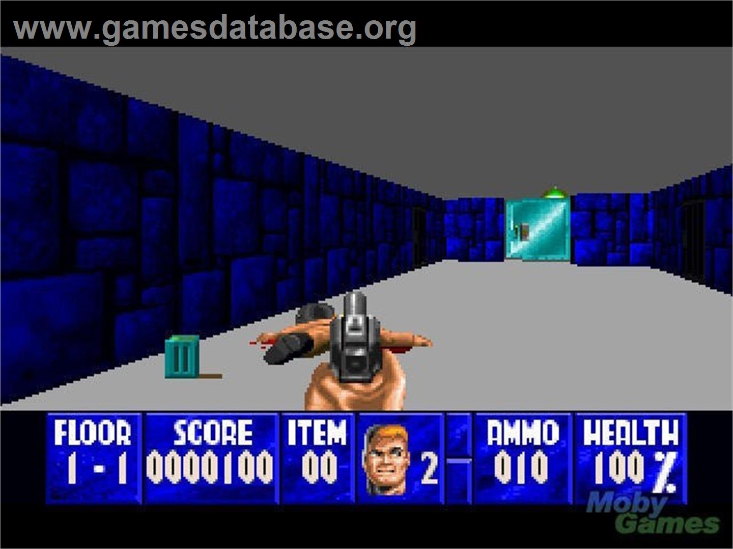 Wolfenstein 3D - Panasonic 3DO - Artwork - In Game