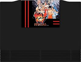 Cartridge artwork for Fatal Fury Special on the SNK Neo-Geo AES.