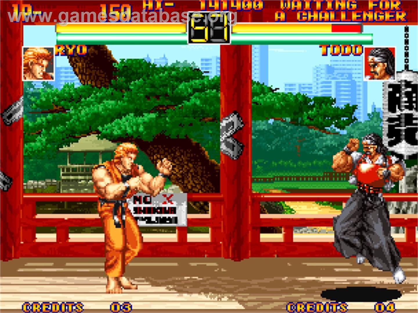 Art of Fighting - SNK Neo-Geo AES - Artwork - In Game