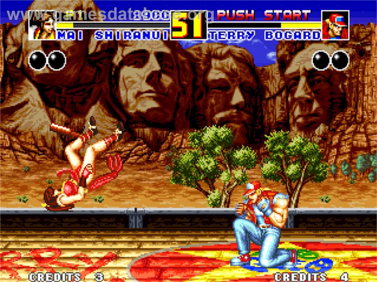 Fatal Fury 2 - SNK Neo-Geo AES - Artwork - In Game