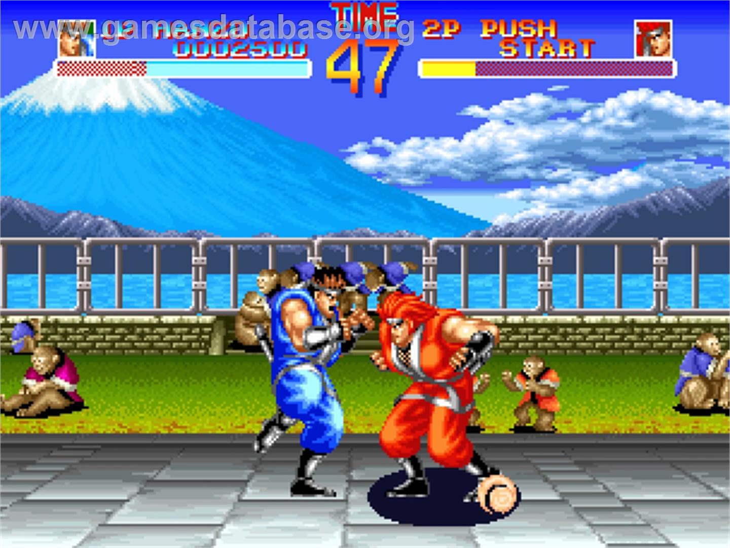 World Heroes - SNK Neo-Geo AES - Artwork - In Game