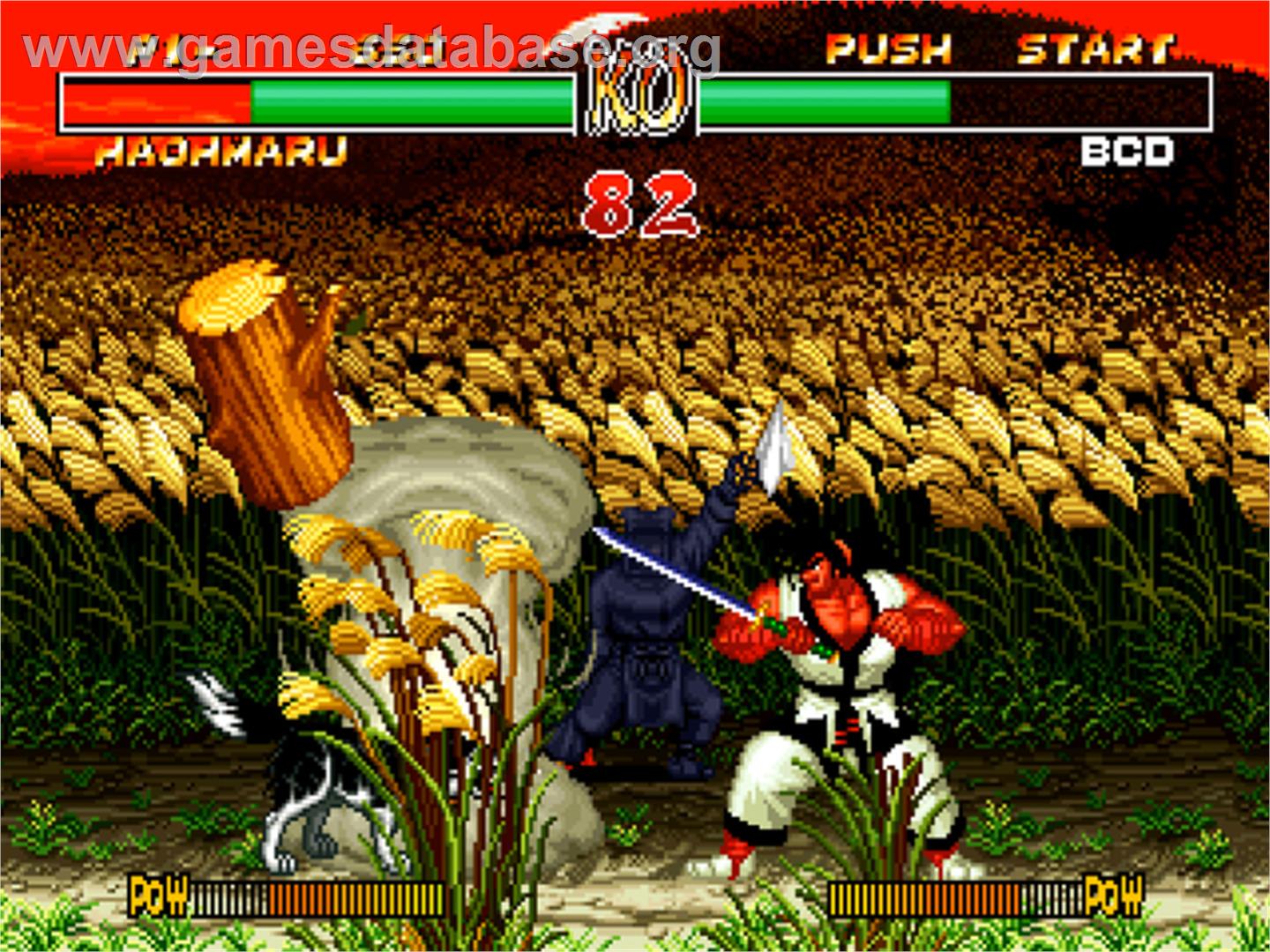 Neo Geo CD Special - SNK Neo-Geo CD - Artwork - In Game