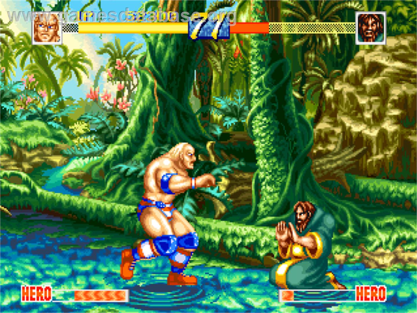 World Heroes Perfect - SNK Neo-Geo CD - Artwork - In Game