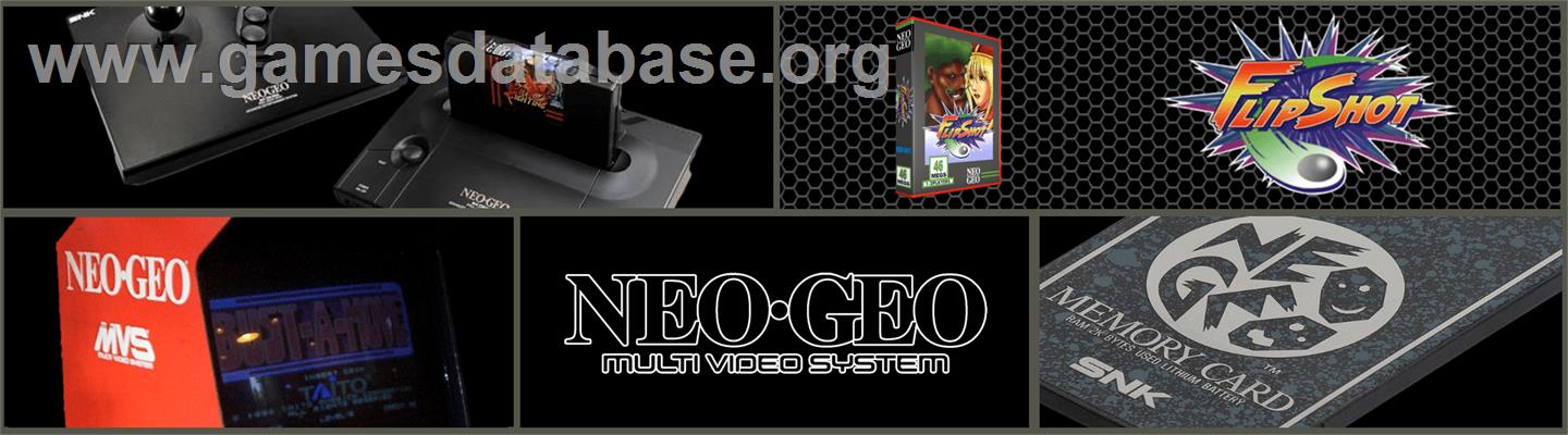 Battle Flip Shot - SNK Neo-Geo MVS - Artwork - Marquee
