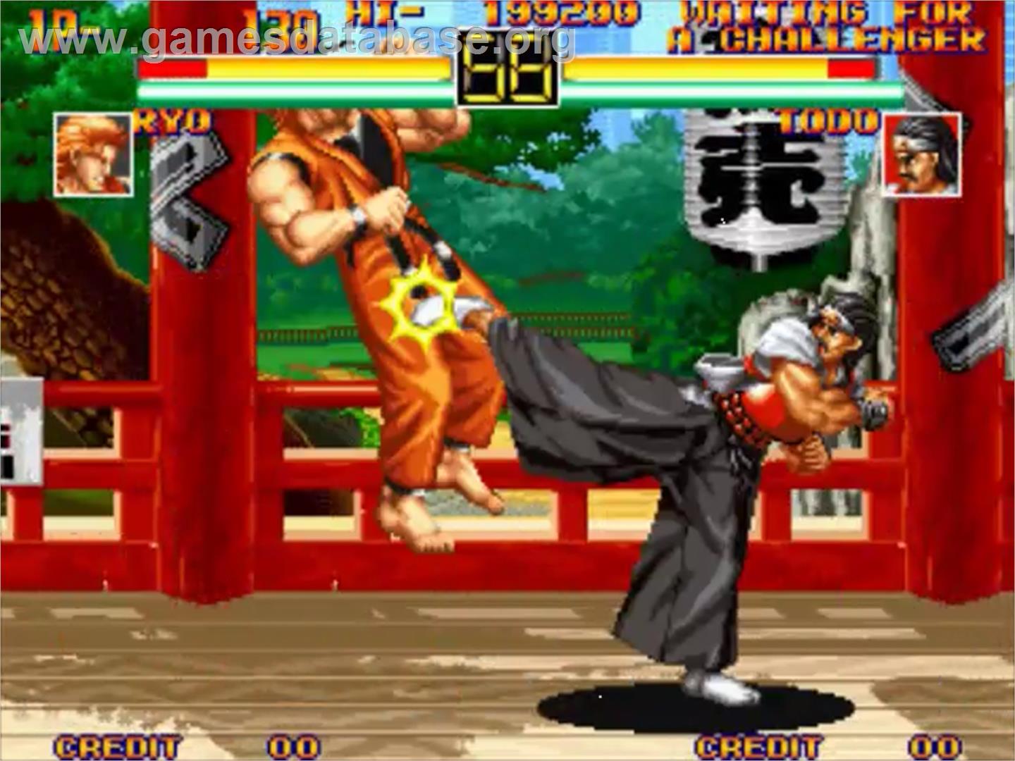 Art of Fighting - SNK Neo-Geo MVS - Artwork - In Game