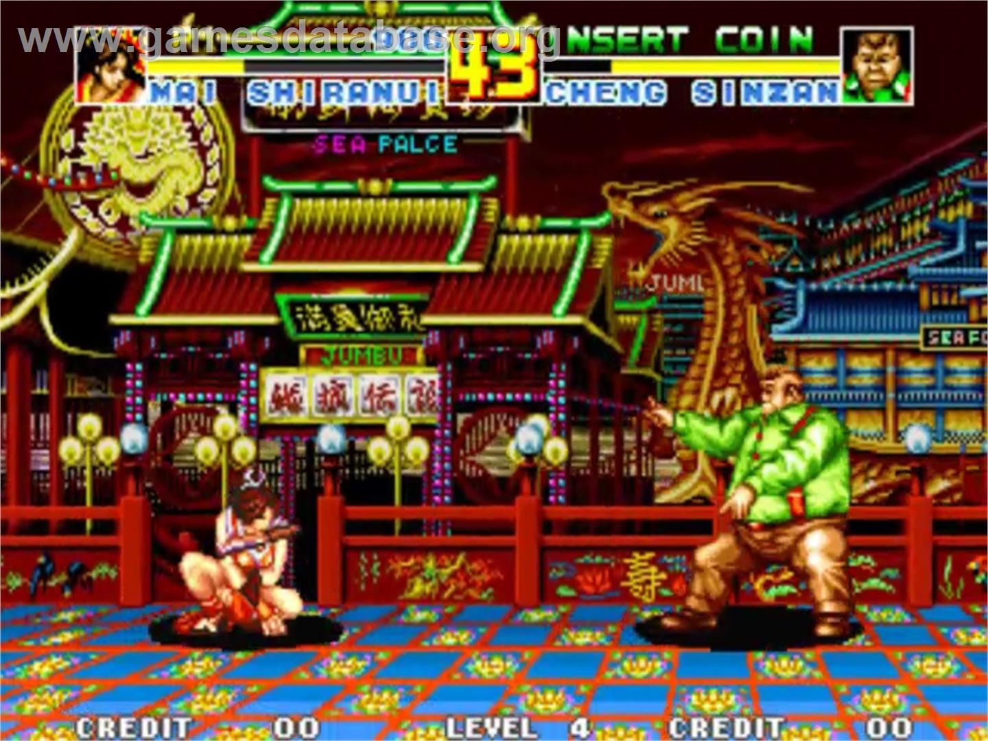 Fatal Fury Special - SNK Neo-Geo MVS - Artwork - In Game