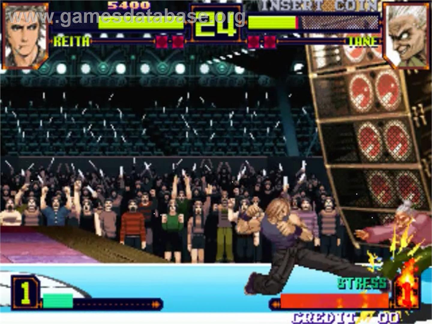 Power Instinct Matrimelee - SNK Neo-Geo MVS - Artwork - In Game