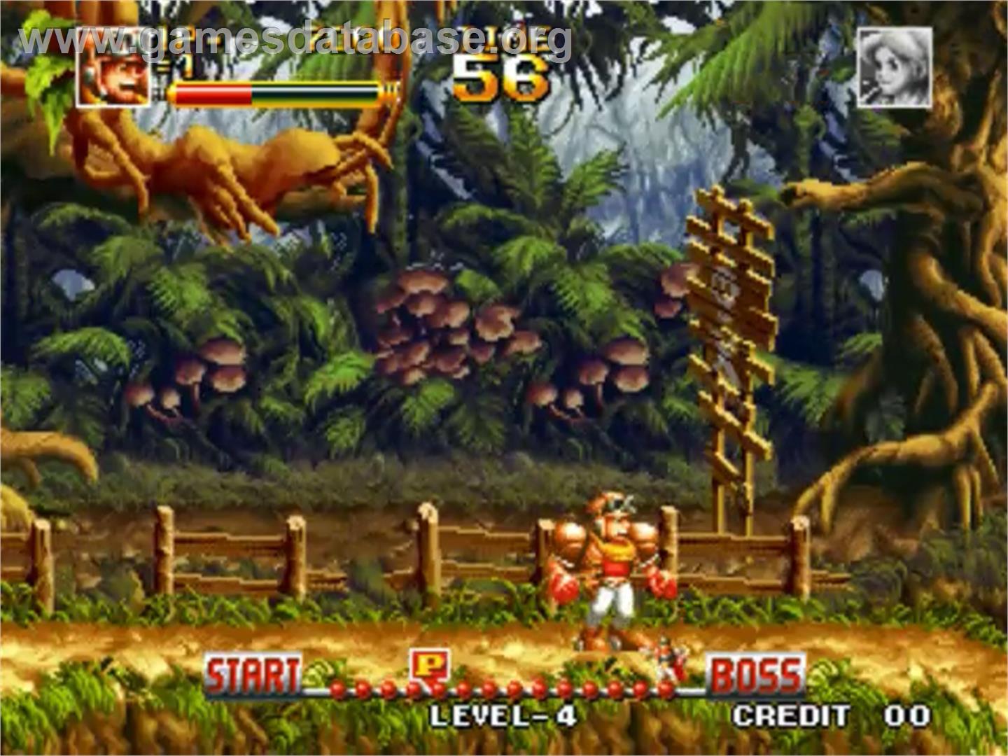 Top Hunter - SNK Neo-Geo MVS - Artwork - In Game