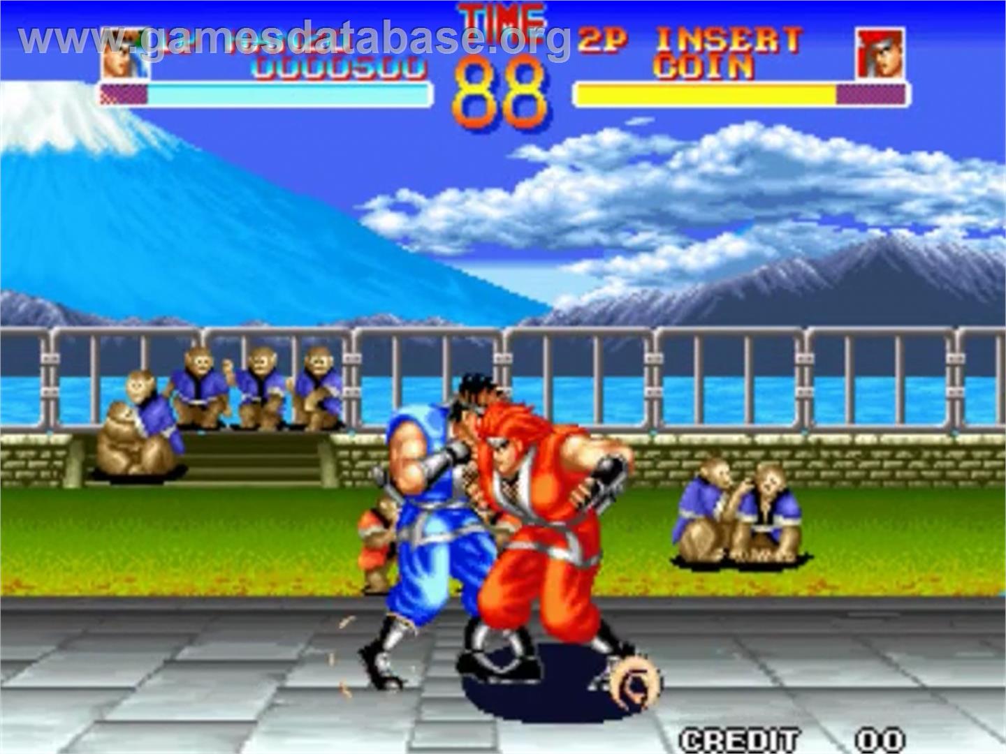 World Heroes - SNK Neo-Geo MVS - Artwork - In Game