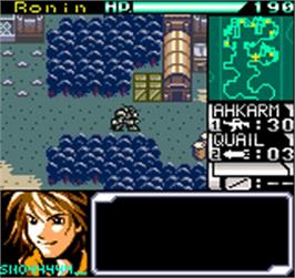In game image of Faselei! on the SNK Neo-Geo Pocket Color.