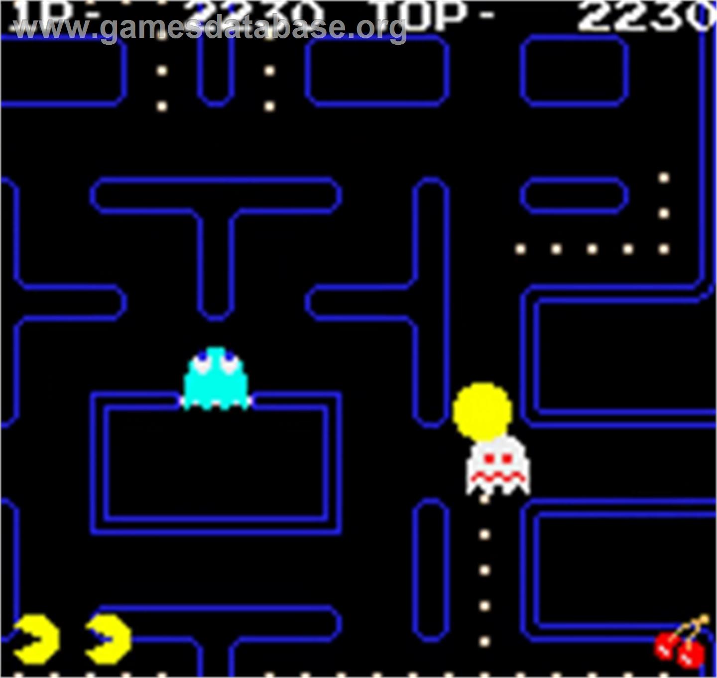 Pac-man - SNK Neo-Geo Pocket Color - Artwork - In Game
