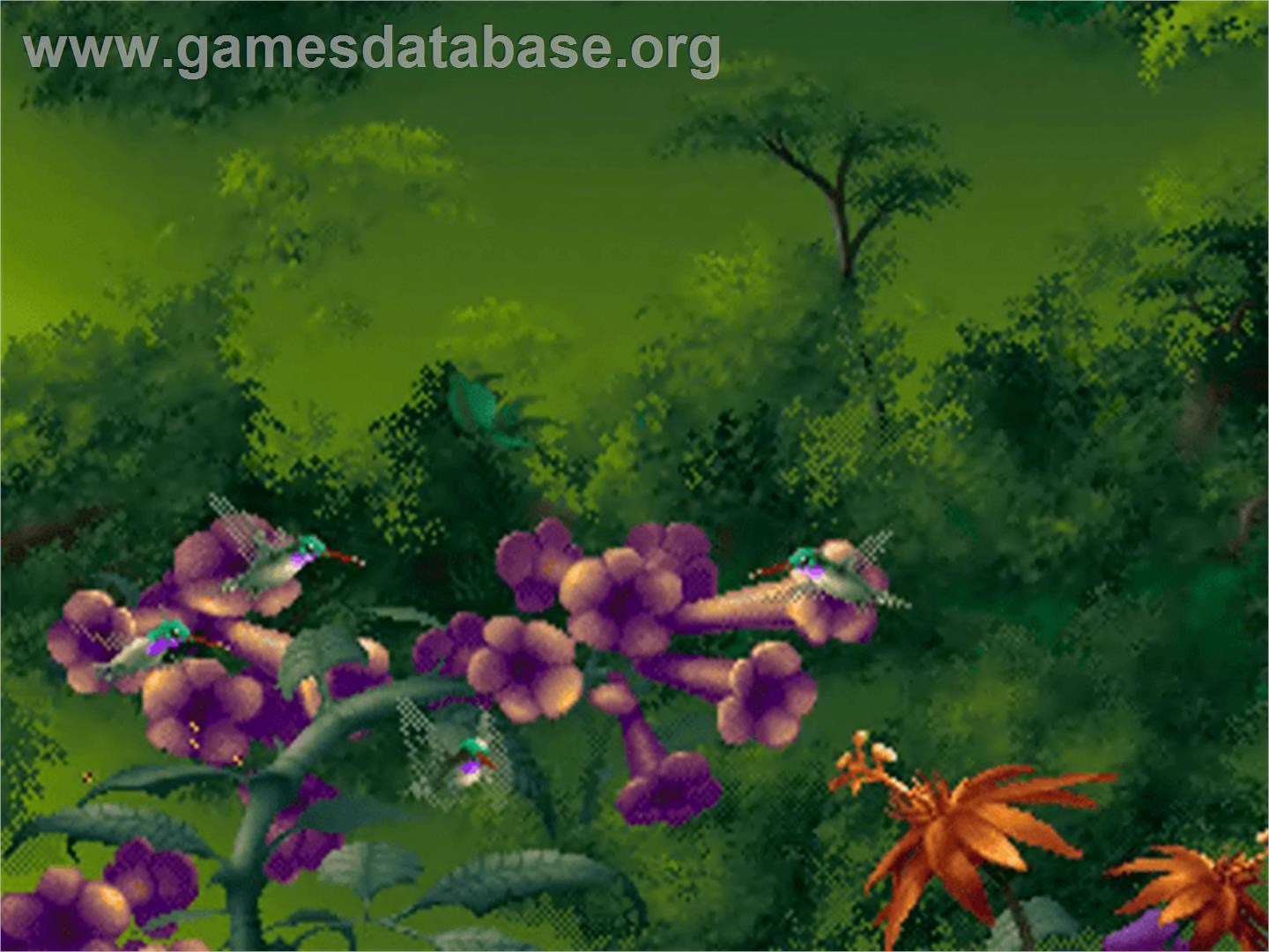 Kolibri - Sega 32X - Artwork - In Game
