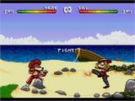 In game image of Brutal - Paws Of Fury on the Sega CD.