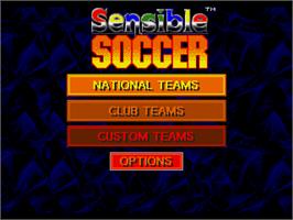 Title screen of Sensible Soccer: European Champions: 92/93 Edition on the Sega CD.