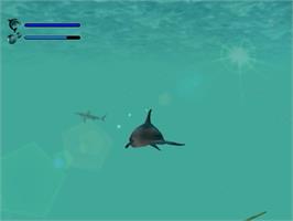 In game image of Ecco the Dolphin: Defender of the Future on the Sega Dreamcast.