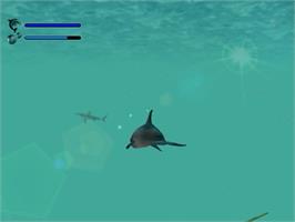 In game image of Ecco the Dolphin - Defender of the Future on the Sega Dreamcast.