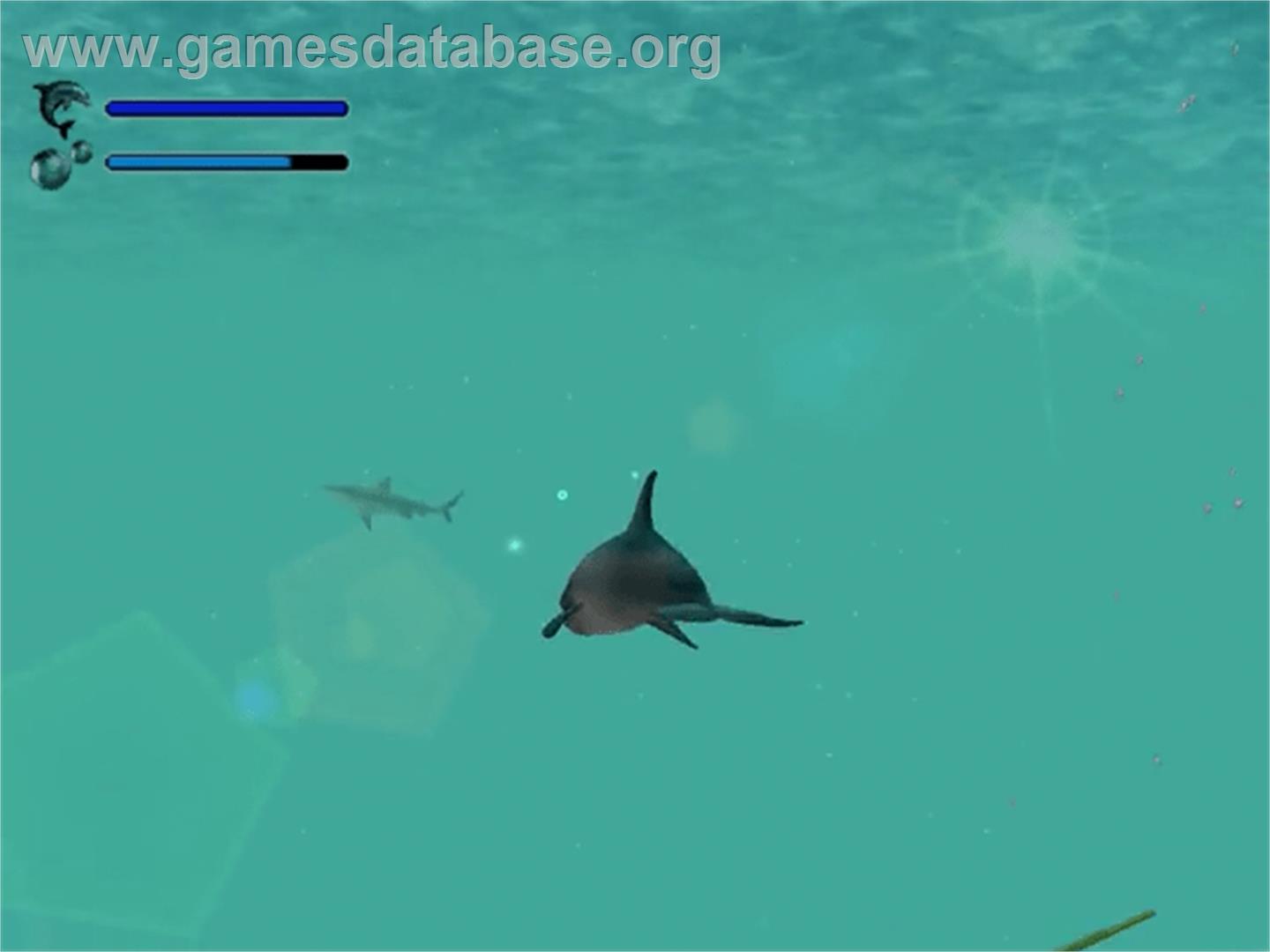 Ecco the Dolphin - Defender of the Future - Sega Dreamcast - Artwork - In Game