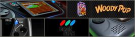 Arcade Cabinet Marquee for Woody Pop.