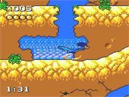 In game image of Desert Speedtrap Starring Road Runner And Wile E. Coyote on the Sega Game Gear.