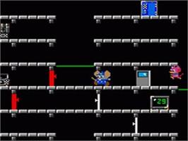 In game image of Mappy on the Sega Game Gear.
