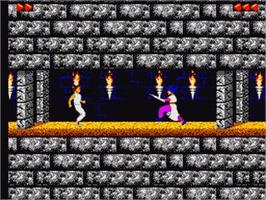 In game image of Prince Of Persia on the Sega Game Gear.