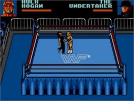 Jeu Wrestle Mania Steel Cage Challenge Sur Sega Game Gear - Version Loose Française PAL