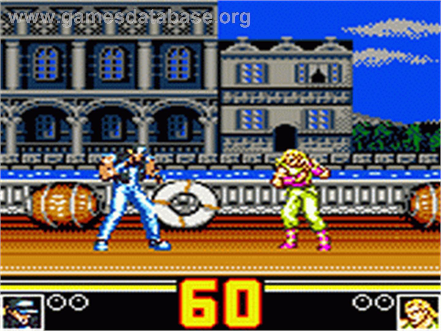 Fatal Fury Special / Garou Densetsu Special - Sega Game Gear - Artwork - In Game