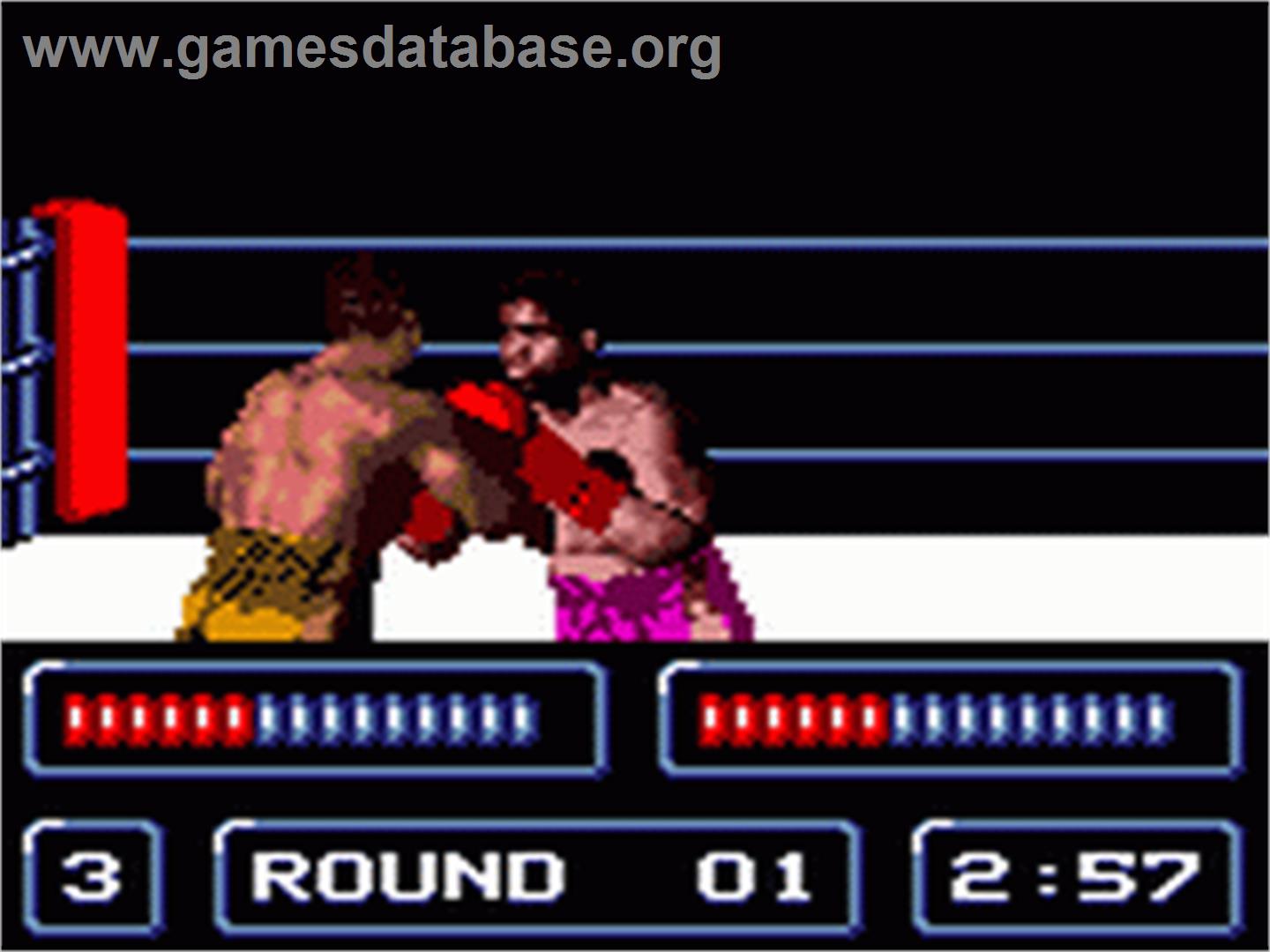 Foreman for Real - Sega Game Gear - Artwork - In Game