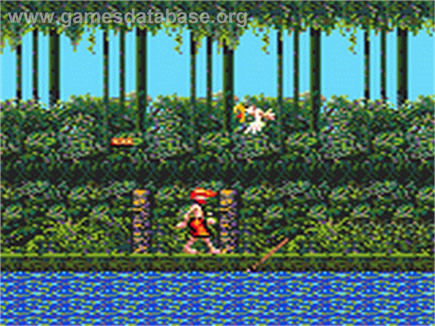 Greendog: The Beached Surfer Dude - Sega Game Gear - Artwork - In Game