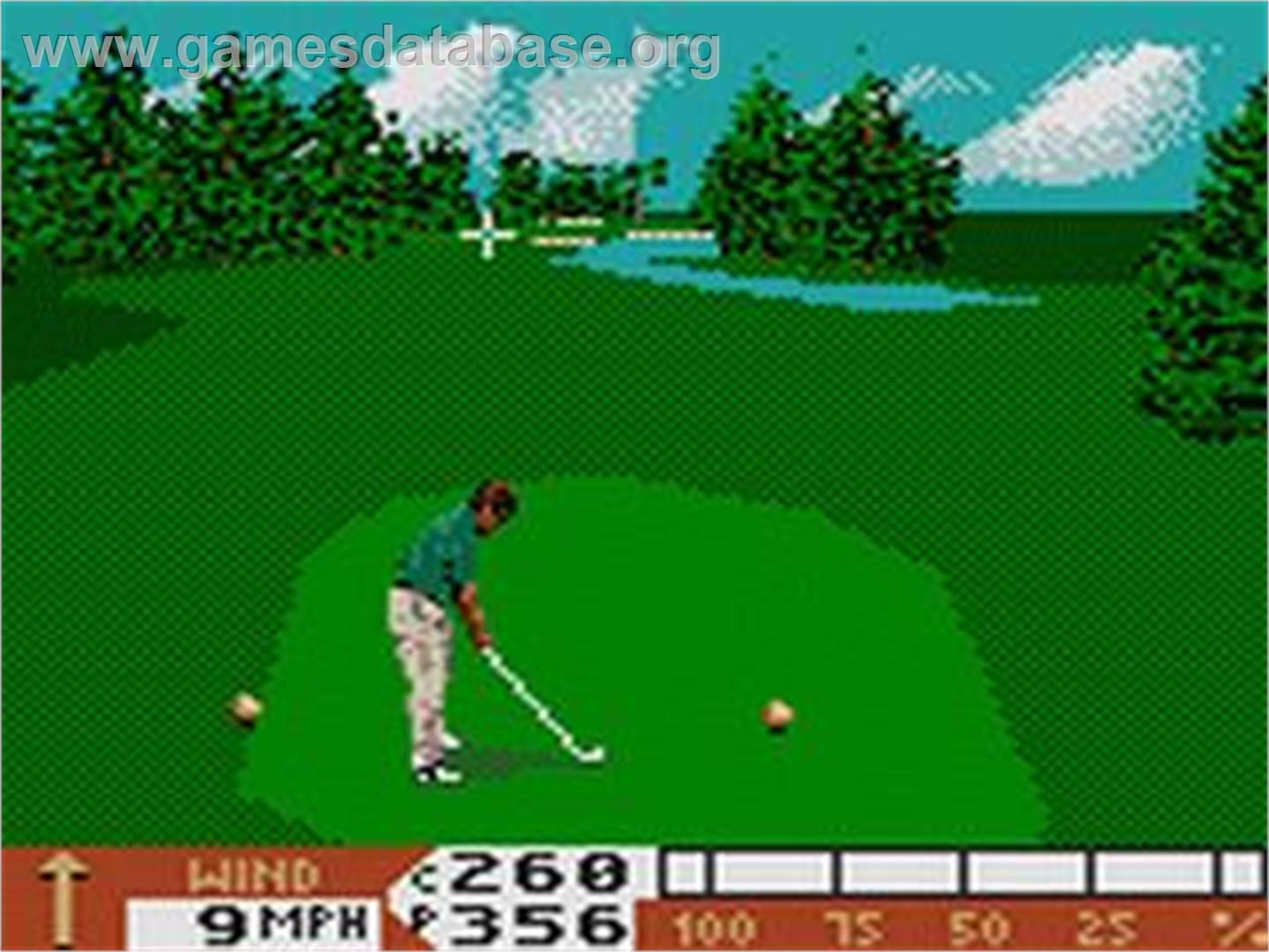 Pga Tour 96 - Sega Game Gear - Artwork - In Game